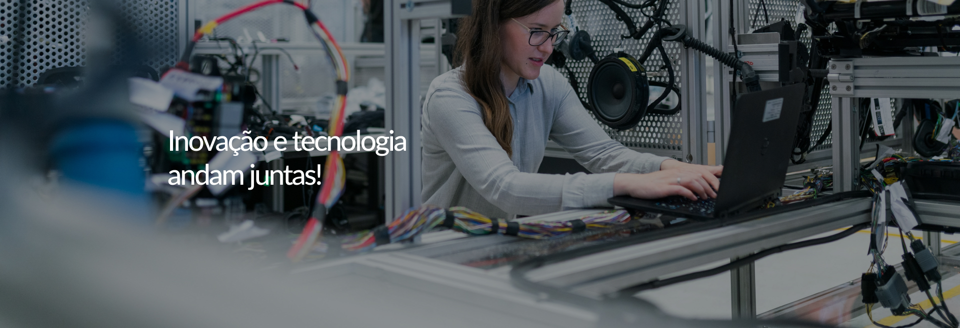 Banner de Apresentação Viecelli