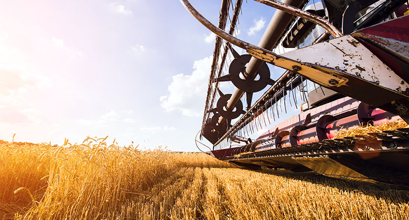 A imagem mostra uma máquina agrícola, uma colheitadeira, em um campo, fazendo a colheita do plantio. O céu está claro e azul, com os raios de sol vindo pelo lado esquerdo da imagem.